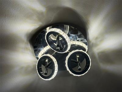 Picture 23